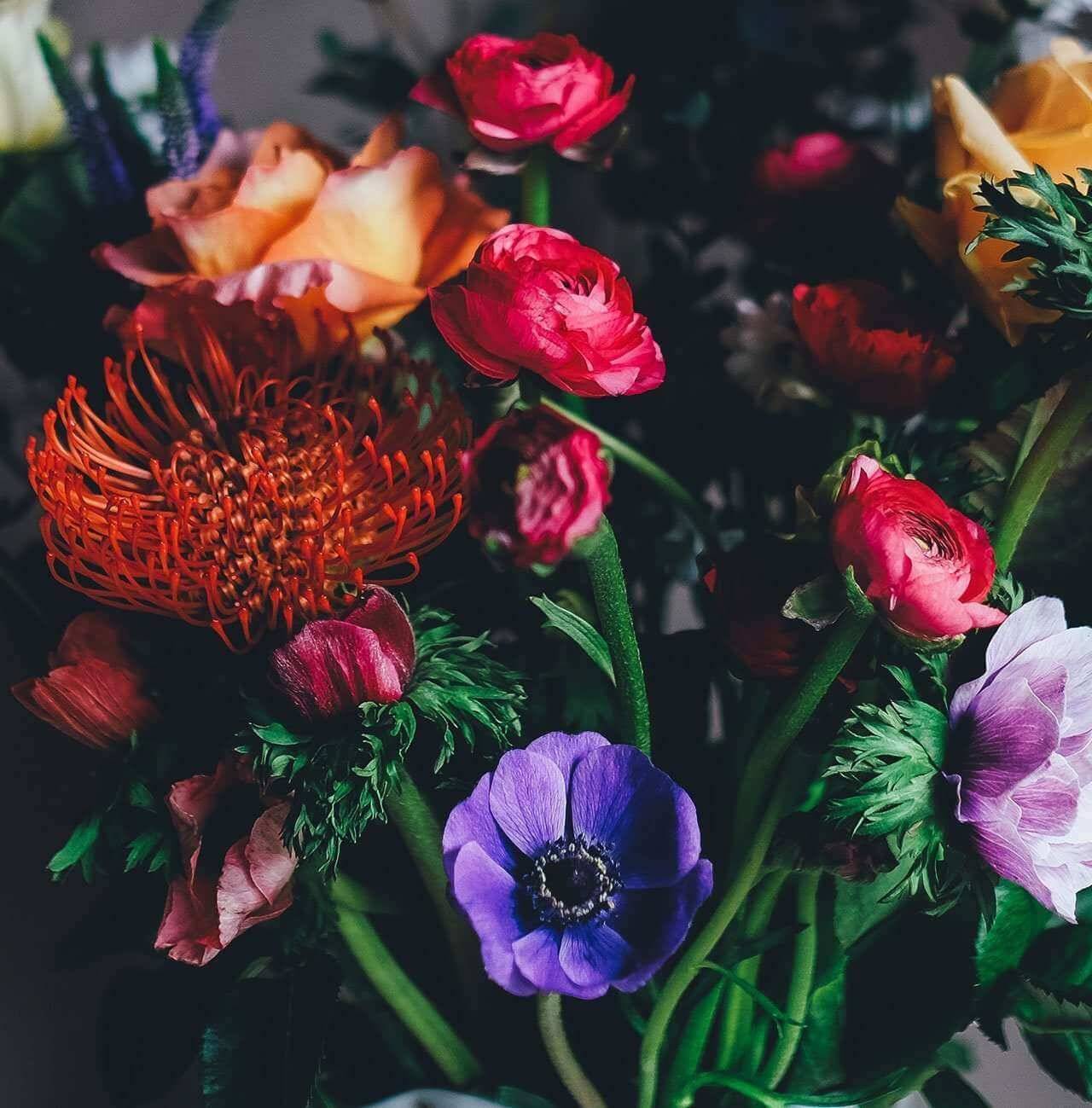 Photo by Annie Spratt [Unsplash.com]