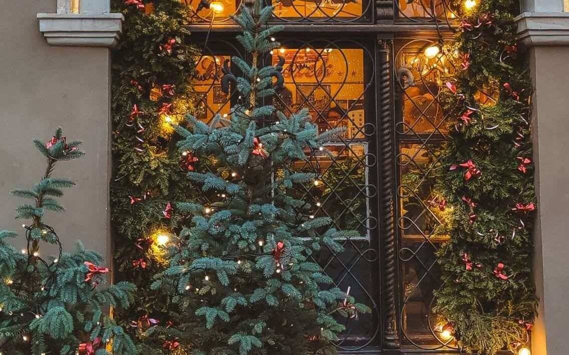 Photo by Alexandra [Unsplash.com]