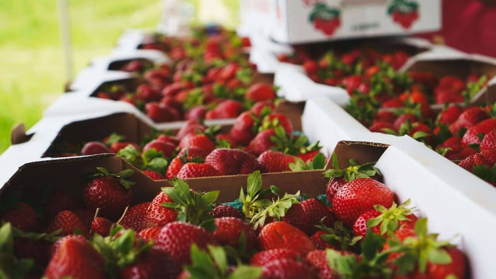 Photo by Brad [Unsplash.com]