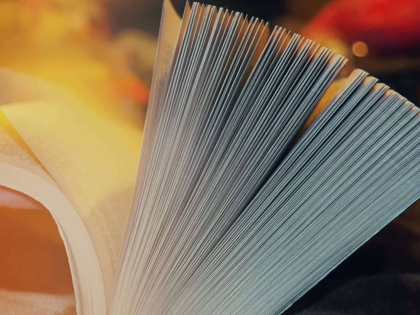 Photo by Anastasia Zhenina [Unsplash.com]