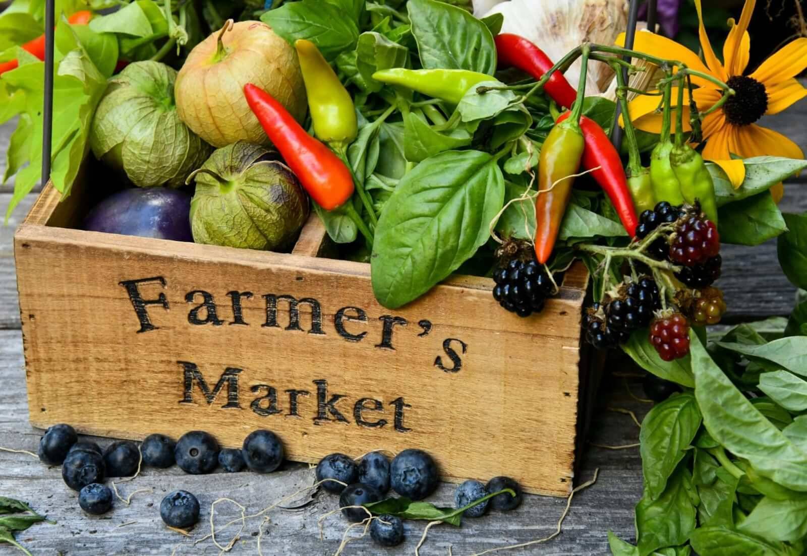 market farm food veggies shelley-pauls-kuR1Kwo4my4-unsplash