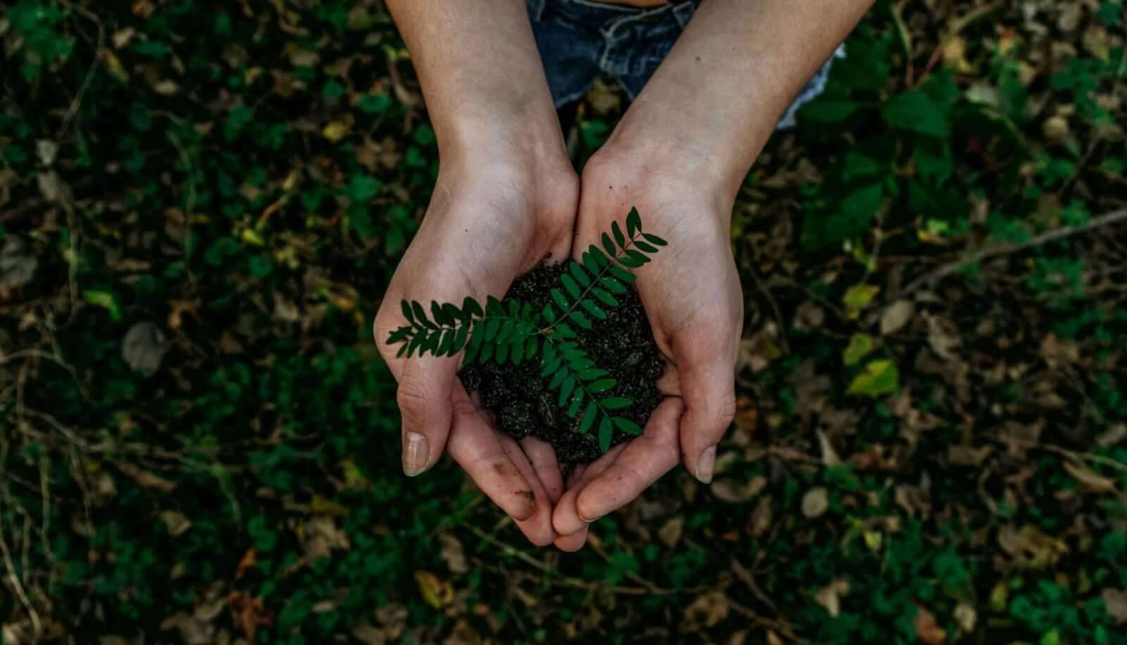 Photo by Noah Buscher [Unsplash.com]