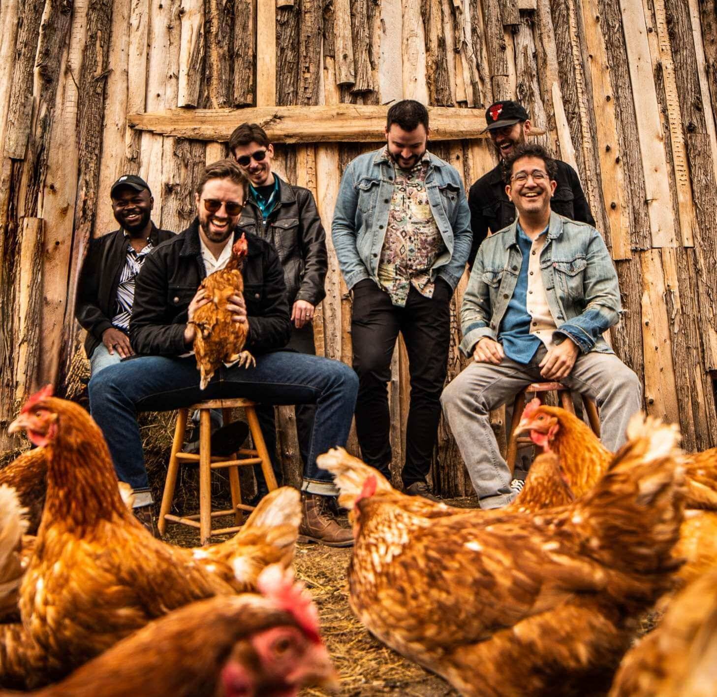 Beauxmont chickens [submitted]